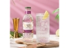 Double Dutch | Cranberry Ginger Tonic | 24 x 20 cl