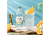 Double Dutch | Elderflower Tonic Water | 24 x 20 cl
