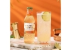 Double Dutch | Ginger Ale | 24 x 20 cl