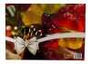 Haribo | Fruitgums Adventskalender | 515 gram