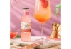 Double Dutch | Pink Grapefruit Soda | 24 x 20 cl