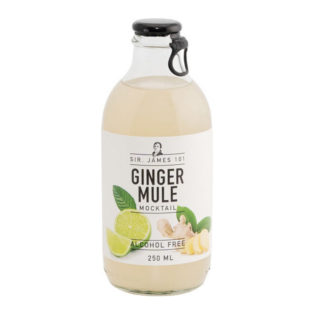 Sir James | 101 Ginger Mule | 12 x 0,25 liter