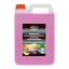 Protecton | Ruitensproeiervloeistof Zomer | 5 liter