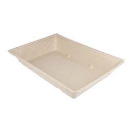 Snackbakje | Suikerriet | 50 stuks