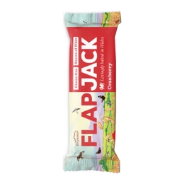 Brynmor | Flapjack Cranberry | 20 x 80 gram