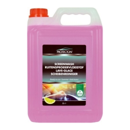 Protecton | Ruitensproeiervloeistof Zomer | 5 liter