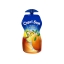 Capri-Sun | Multivitamin Stevia | 15 x 33 cl