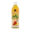 Tropical | Aloe Vera | Mango | 20 x 500 ml