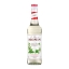 Monin | Siroop Mojito Mint | 0,7 liter