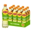 Lipton | Ice Tea Green Sparkling Citrus Pet | 12 x 0,5 liter
